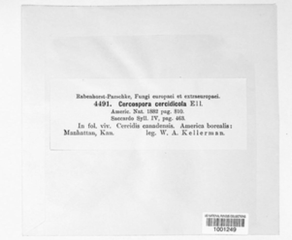 Passalora cercidicola image